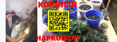 молекула духа Кулебаки