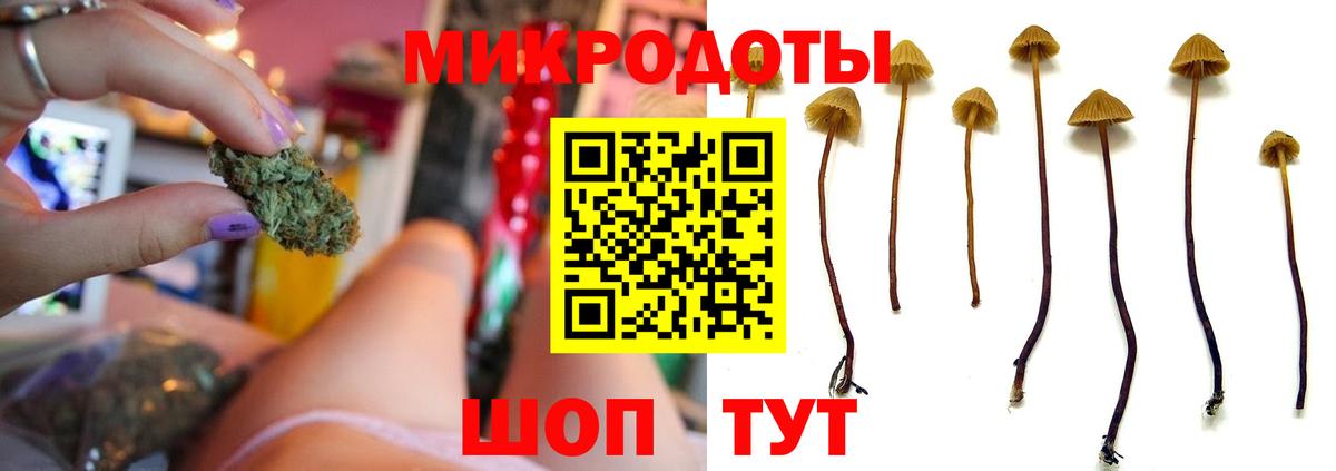 Псилоцибиновые грибы ЛСД  Галлюциногенные грибы мицелий  что такое   Аксай  Вход с VPN 